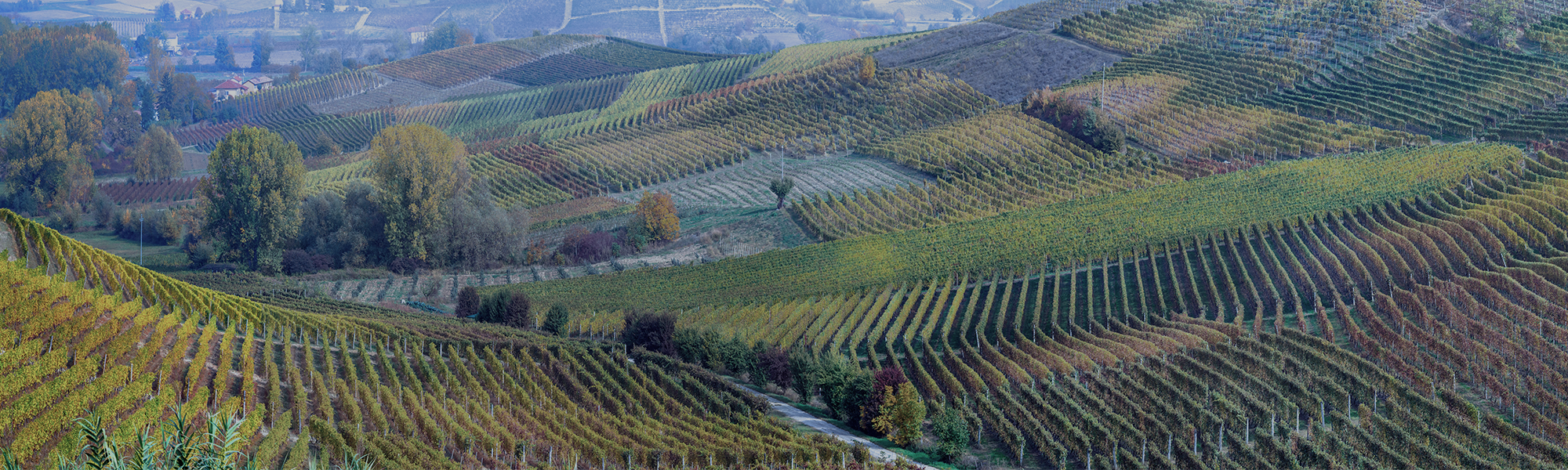 La digitalizzazione dei processi interni secondo Ruffino